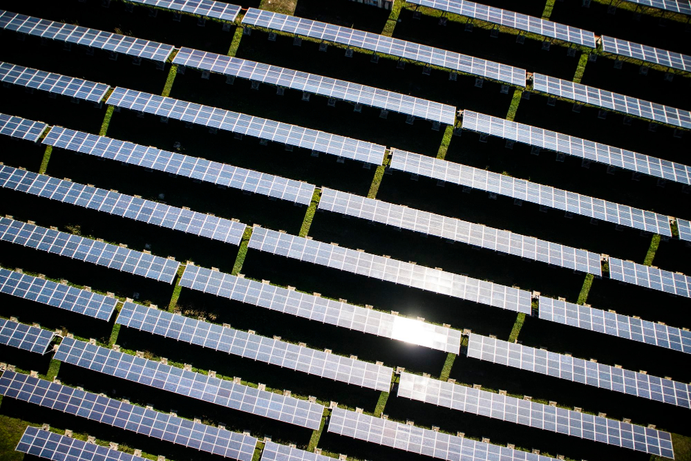 panels-electricity_1.jpg